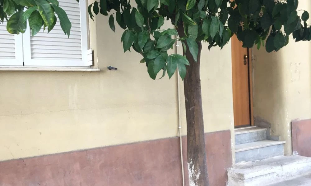 Τραγωδία στο Περιστέρι: «Προσπάθησε να επιτεθεί στη μητέρα μου, θόλωσα και τον σκότωσα»
